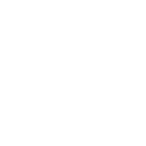 no 03